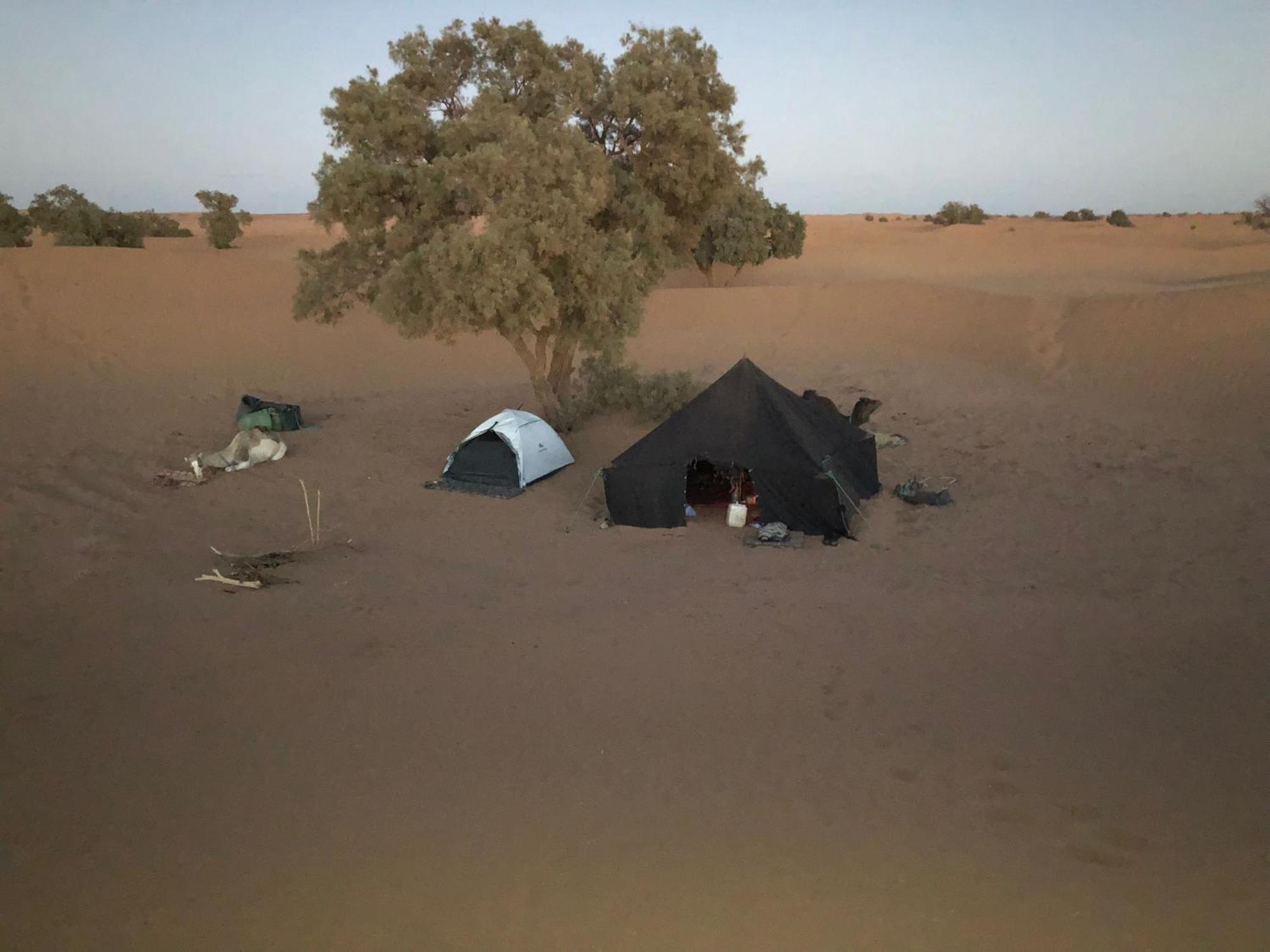 Nomads Life Style Ξενοδοχείο M'Hamid Εξωτερικό φωτογραφία